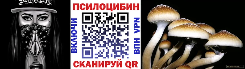 блэк спрут зеркало  Сергач  Псилоцибиновые грибы ЛСД 